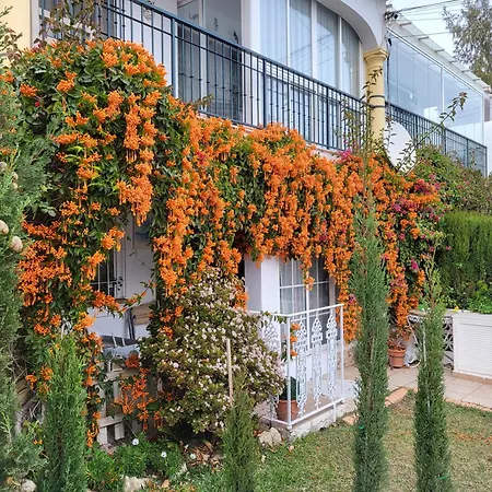 Stella Blanca 2 Bedrooms Apart With Small Garden And Pool Fuengirola Extérieur photo